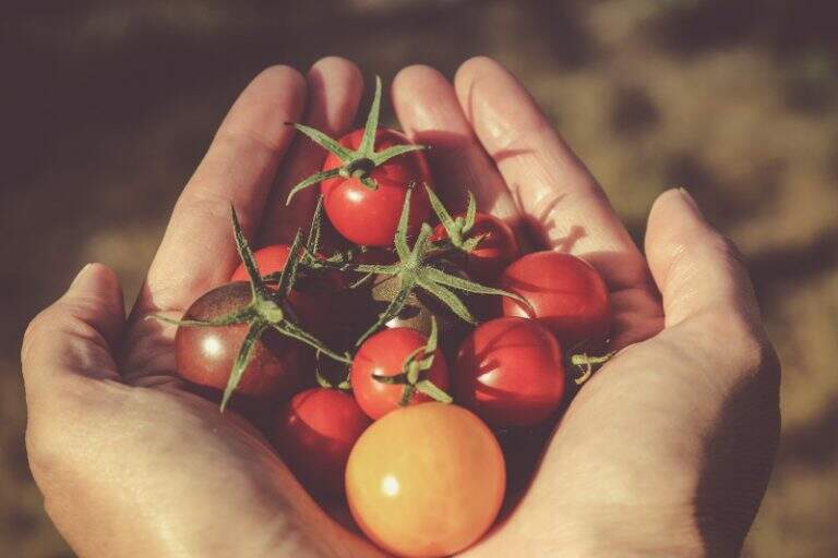 O Pomodoro nosso de cada dia