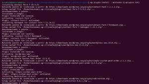 Captura de tela do terminal rodando o comando WP-CLI