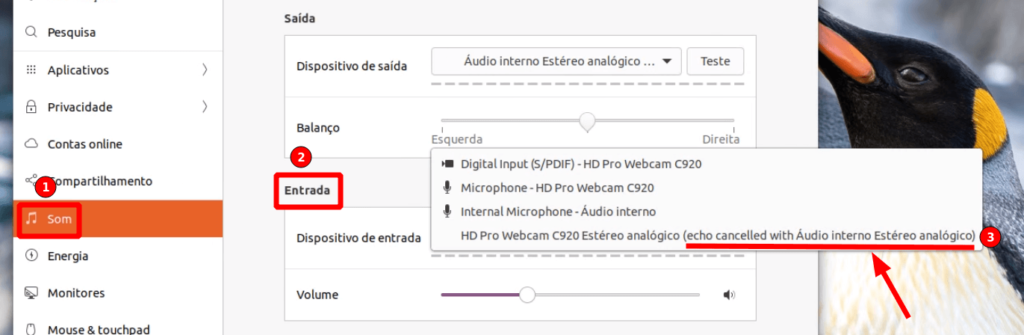 Tela de configuração do som do Ubuntu com indicações dos passos para configurar o microfone