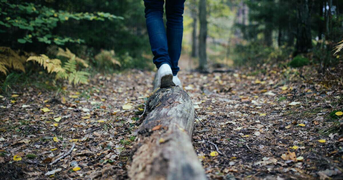 Mutualismo ou parasitismo: qual relação define seu trabalho?